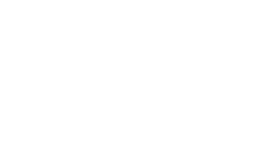 Automotive Interior Exclusives AIE logo